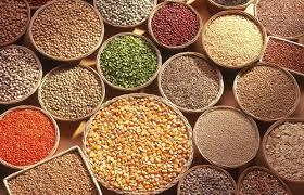 Millets & Other Grains