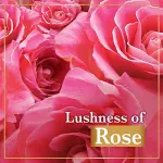 LUX ROSE SOAP