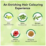 INDICA EASY SAMPOO HAIR COLOR